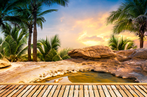 دانلود عکس استوک طبیعت زیبای تابستان با چشمه آب گرم