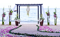 دانلود عکس استوک مراسم عروسی در ساحل