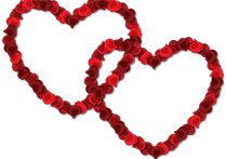 دانلود عکس زیبای استوک از قلب های درست شده با گل رز