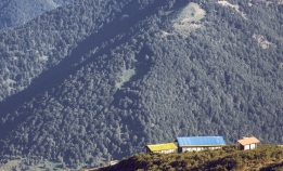 عکس خام طبیعت ماسال گیلان و کلبه های زیبا