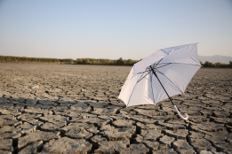 عکس چتر سفید در زمین خشک