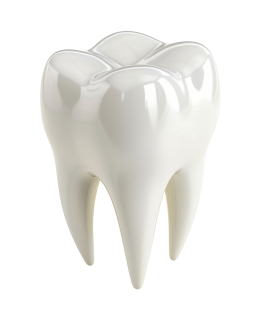 فایل PNG دندان سفید