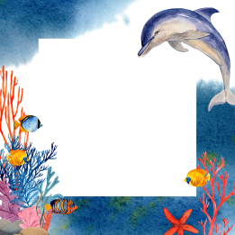 فریم png کارتونی تم دلفین و ماهی