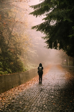 عکس زیبای راه رفتن در پیاده رو پاییزی با کیفیت بالا