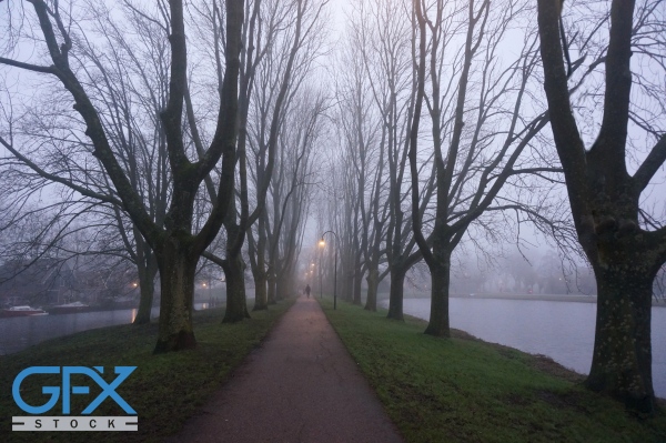 عکس راه رفتن در هنگام صبح به تنهایی در طبیعت زیبا