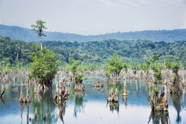 عکس دریاچه ارواح یا ممرز در نوشهر با کیفیت بالا