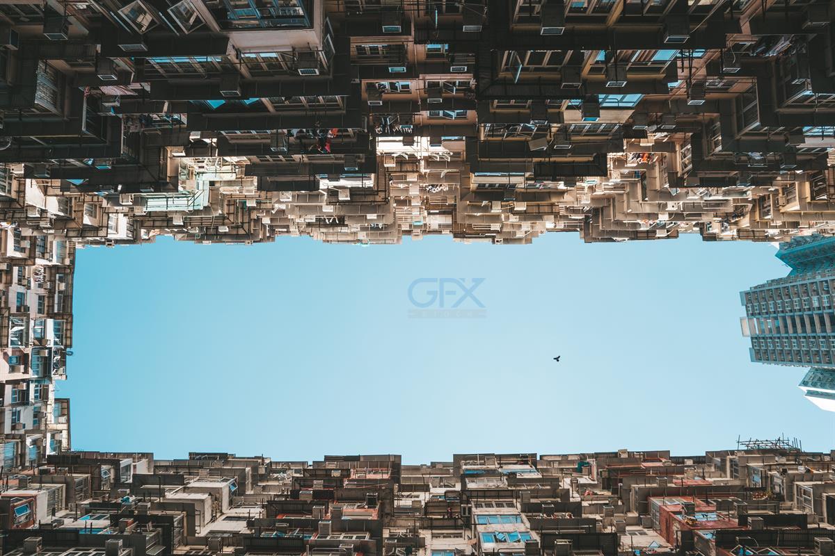 پرنده بین ساختمان‌ها Hong Kong - City Sky