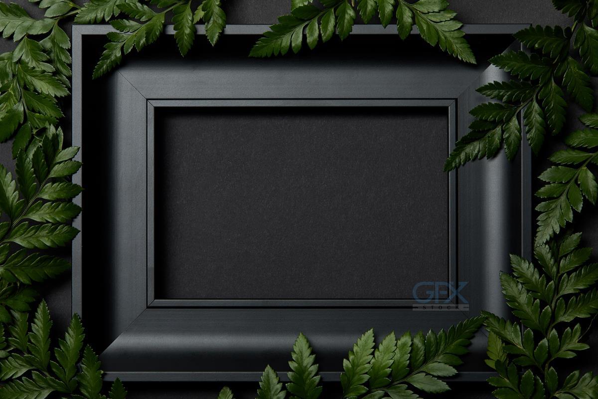 قاب مشکی Dark Frame با برگ سرخس Green Ferns