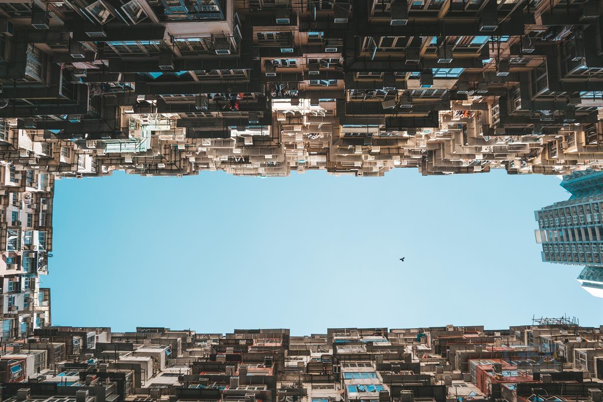 پرنده میان ساختمان‌های Hong Kong - Urban Photo