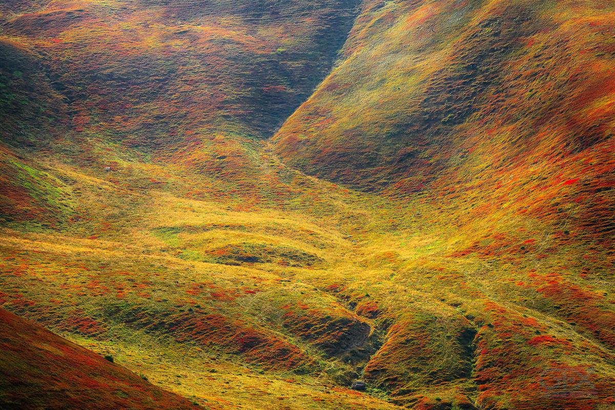منظره کوهستانی رنگی Abstract Colorfull Mountainside